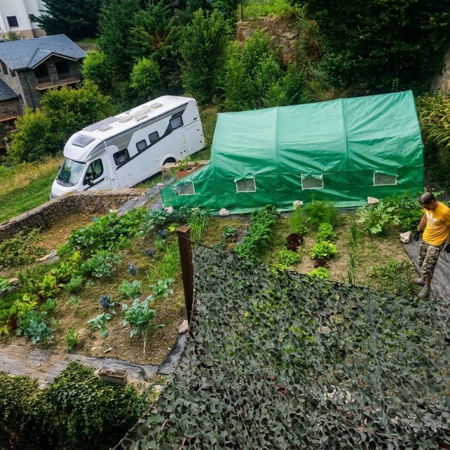 Vegetable Allotment View