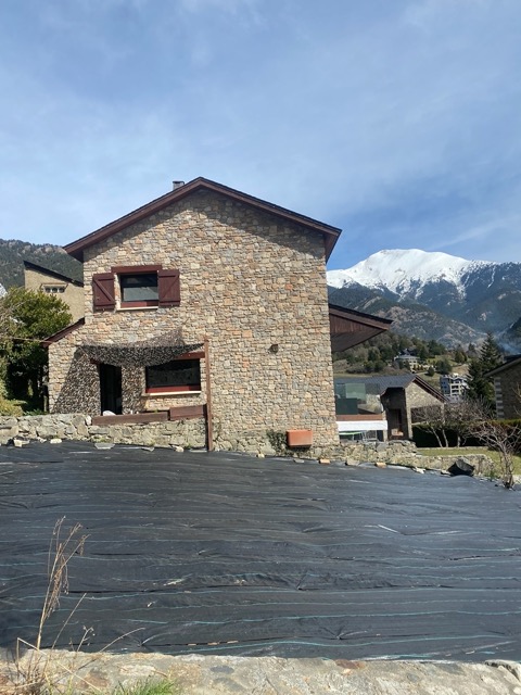Vegetable Allotment View